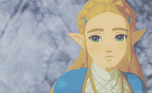 princess zelda / breath of the wild